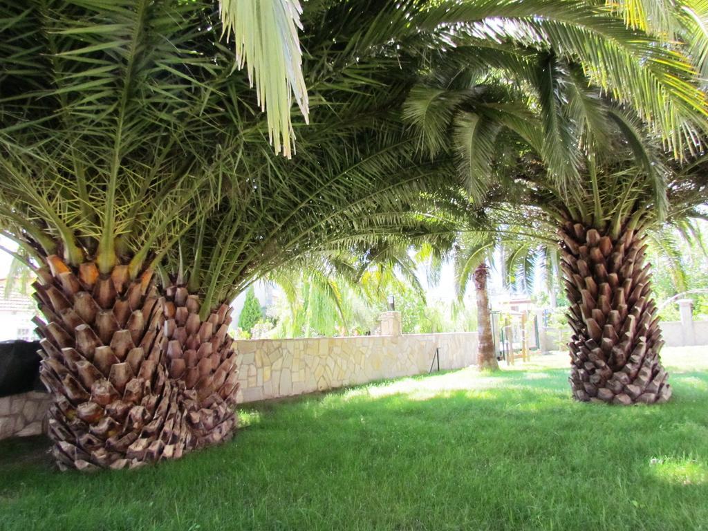 Dalyan Palmiye Resort Hotel Exterior photo